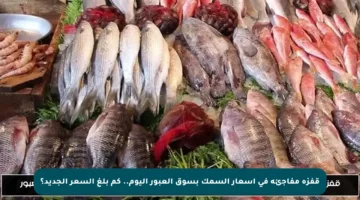 قفزة مفاجئة في أسعار السمك بسوق العبور اليوم.. كم بلغ السعر الجديد؟